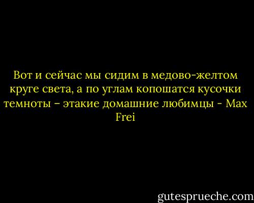 Вот и сейчас мы сидим в медово-желтом круге света, а по углам копошатся кусочки темноты – этакие домашние любимцы - Max Frei