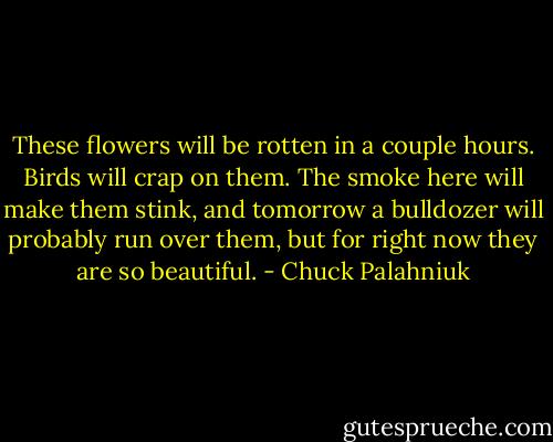 These flowers will be rotten in a couple hours. Birds will crap on them. The smoke here will make them stink, and tomorrow a bulldozer will probably run over them, but for right now they are so beautiful. - Chuck Palahniuk