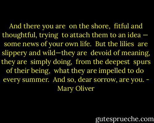 And there you are<br /> on the shore,<br /><br />fitful and thoughtful, trying<br /> to attach them to an idea —<br /> some news of your own life.<br /> But the lilies<br /><br />are slippery and wild—they are<br /> devoid of meaning, they are<br /> simply doing,<br /> from the deepest<br /><br />spurs of their being,<br /> what they are impelled to do<br /> every summer.<br /> And so, dear sorrow, are you. - Mary Oliver