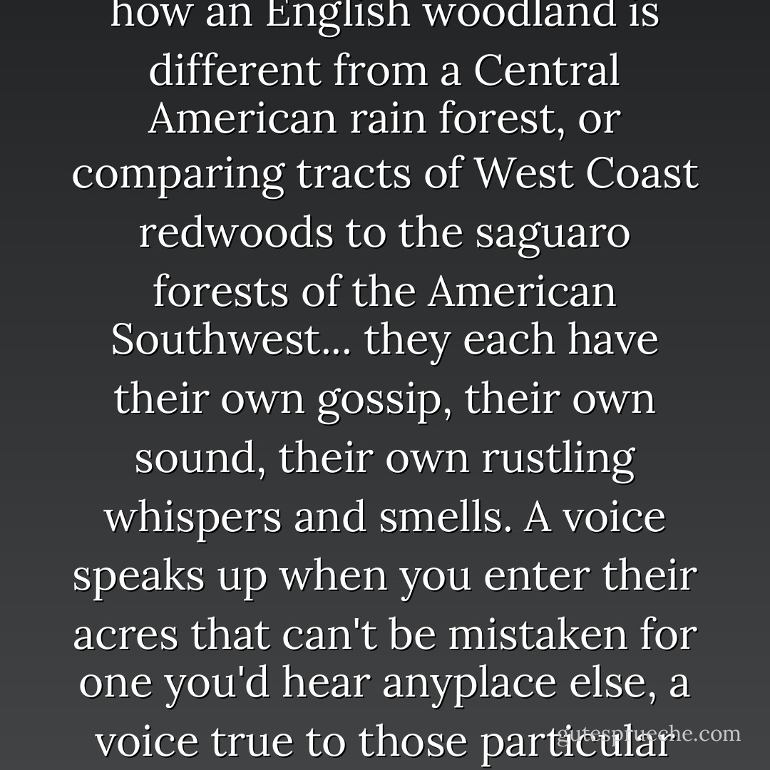 All forests have their own personality. I don't just mean the obvious differences, like how an English woodland is different from a Central American rain forest, or comparing tracts of West Coast redwoods to the saguaro forests of the American Southwest... they each have their own gossip, their own sound, their own rustling whispers and smells. A voice speaks up when you enter their acres that can't be mistaken for one you'd hear anyplace else, a voice true to those particular tress, individual rather than of their species. - Charles de Lint