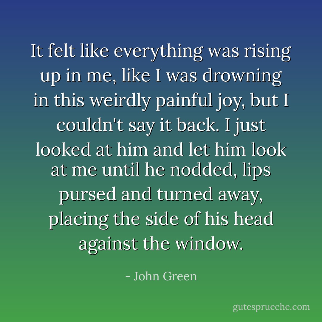 It felt like everything was rising up in me, like I was drowning in this weirdly painful joy, but I couldn't say it back. I just looked at him and let him look at me until he nodded, lips pursed and turned away, placing the side of his head against the window. - John Green