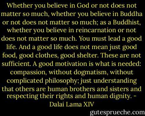 Whether you believe in God or not does not matter so much, whether you believe in Buddha or not does not matter so much; as a Buddhist, whether you believe in reincarnation or not does not matter so much. You must lead a good life. And a good life does not mean just good food, good clothes, good shelter. These are not sufficient. A good motivation is what is needed: compassion, without dogmatism, without complicated philosophy; just understanding that others are human brothers and sisters and respecting their rights and human dignity. - Dalai Lama XIV