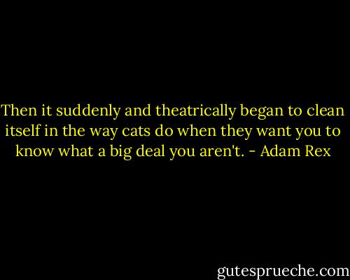 Then it suddenly and theatrically began to clean itself in the way cats do when they want you to know what a big deal you aren't. - Adam Rex