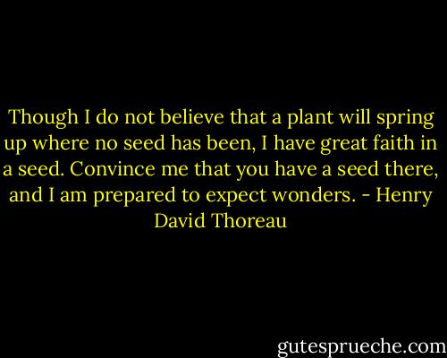 Though I do not believe that a plant will spring up where no seed has<br />been, I have great faith in a seed. Convince me that you have a seed<br />there, and I am prepared to expect wonders. - Henry David Thoreau