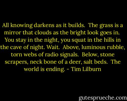 All knowing darkens as it builds.<br /> The grass is a mirror that clouds as the bright look goes in.<br /> You stay in the night, you squat in the hills in the cave of night. Wait.<br /> Above, luminous rubble, torn webs of radio signals.<br /> Below, stone scrapers, neck bone of a deer, salt beds.<br /> The world is ending. - Tim Lilburn