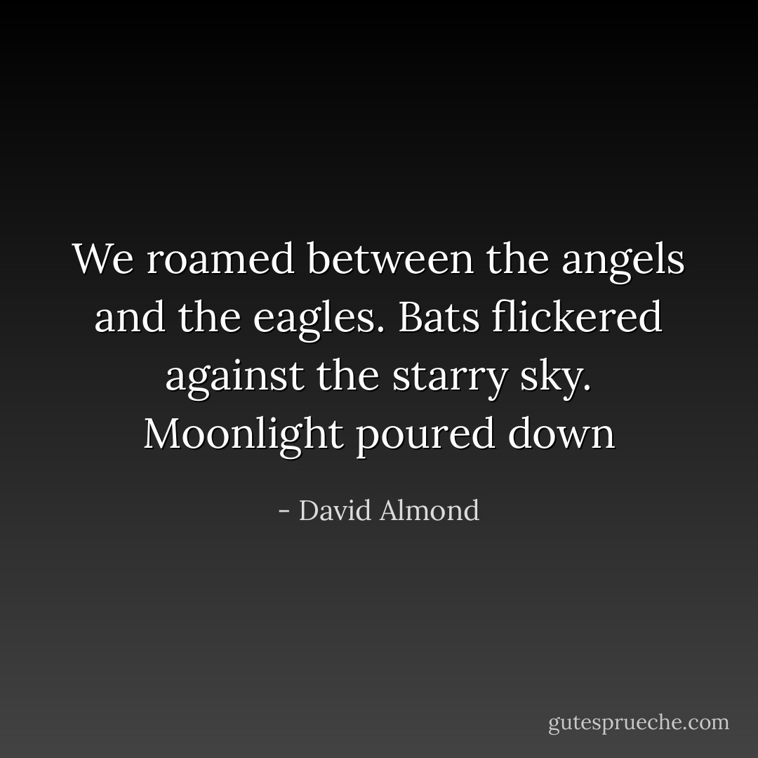We roamed between the angels and the eagles. Bats flickered against the starry sky. Moonlight poured down - David Almond