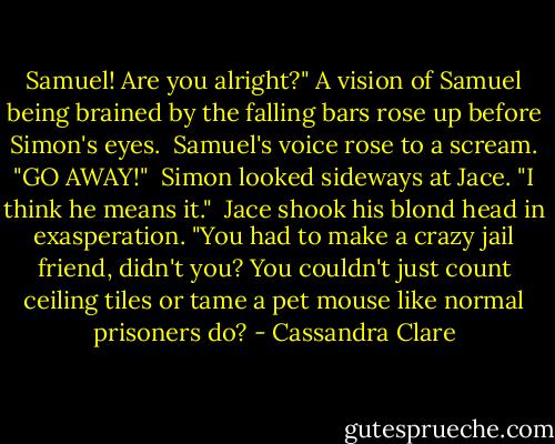 Samuel! Are you alright?" A vision of Samuel being brained by the falling bars rose up before Simon's eyes.<br /> Samuel's voice rose to a scream. "GO AWAY!"<br /> Simon looked sideways at Jace. "I think he means it."<br /> Jace shook his blond head in exasperation. "You had to make a crazy jail friend, didn't you? You couldn't just count ceiling tiles or tame a pet mouse like normal prisoners do? - Cassandra Clare