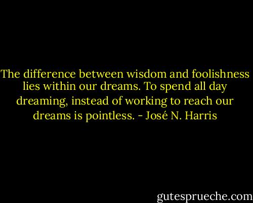 The difference between wisdom and foolishness lies within our dreams. To spend all day dreaming, instead of working to reach our dreams is pointless. - José N. Harris
