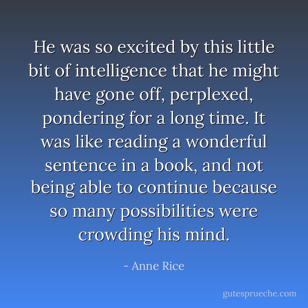 He was so excited by this little bit of intelligence that he might have gone off, perplexed, pondering for a long time. It was like reading a wonderful sentence in a book, and not being able to continue because so many possibilities were crowding his mind. - Anne Rice