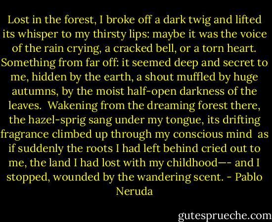 Lost in the forest, I broke off a dark twig<br />and lifted its whisper to my thirsty lips:<br />maybe it was the voice of the rain crying,<br />a cracked bell, or a torn heart.<br />Something from far off: it seemed<br />deep and secret to me, hidden by the earth,<br />a shout muffled by huge autumns,<br />by the moist half-open darkness of the leaves.<br /><br />Wakening from the dreaming forest there, the hazel-sprig<br />sang under my tongue, its drifting fragrance<br />climbed up through my conscious mind<br /><br />as if suddenly the roots I had left behind<br />cried out to me, the land I had lost with my childhood—-<br />and I stopped, wounded by the wandering scent. - Pablo Neruda