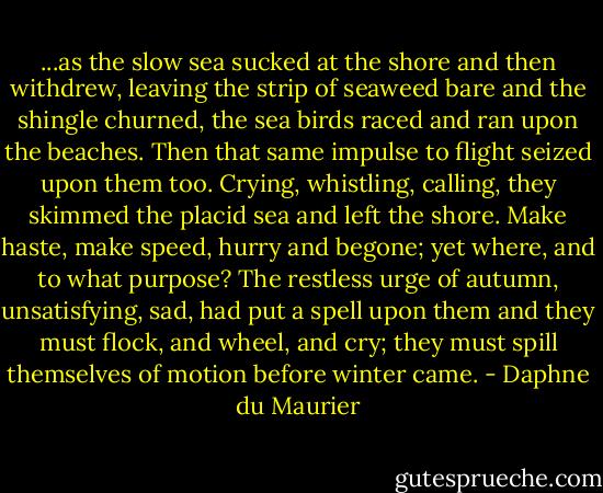 ...as the slow sea sucked at the shore and then withdrew, leaving the strip of seaweed bare and the shingle churned, the sea birds raced and ran upon the beaches. Then that same impulse to flight seized upon them too. Crying, whistling, calling, they skimmed the placid sea and left the shore. Make haste, make speed, hurry and begone; yet where, and to what purpose? The restless urge of autumn, unsatisfying, sad, had put a spell upon them and they must flock, and wheel, and cry; they must spill themselves of motion before winter came. - Daphne du Maurier