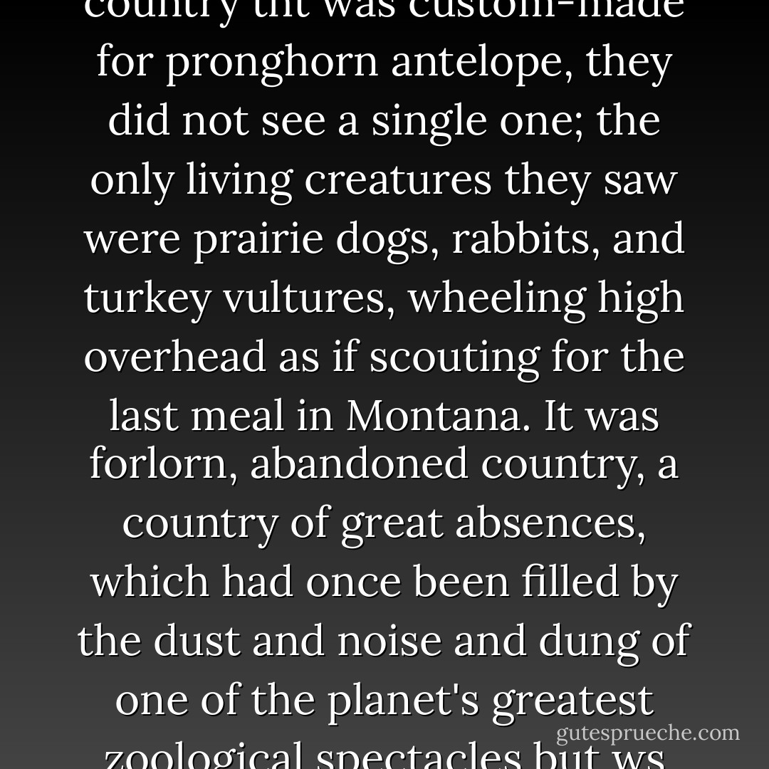 During the first two days of travel north of Miles City, in a country tht was custom-made for pronghorn antelope, they did not see a single one; the only living creatures they saw were prairie dogs, rabbits, and turkey vultures, wheeling high overhead as if scouting for the last meal in Montana. It was forlorn, abandoned country, a country of great absences, which had once been filled by the dust and noise and dung of one of the planet's greatest zoological spectacles but ws now almost completely silent. - Stefan Bechtel