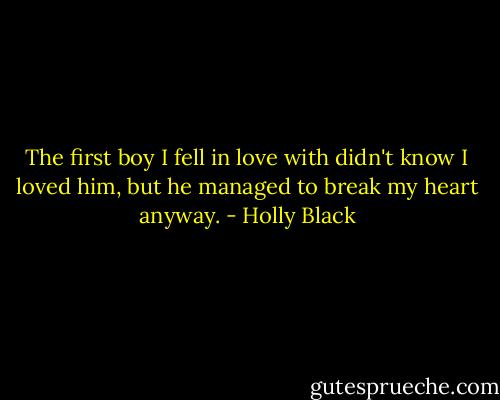 The first boy I fell in love with didn't know I loved him, but he managed to break my heart anyway. - Holly Black