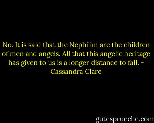No. It is said that the Nephilim are the children of men and angels. All that this angelic heritage has given to us is a longer distance to fall. - Cassandra Clare