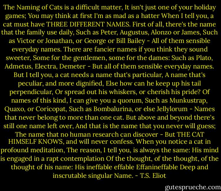 The Naming of Cats is a difficult matter,<br />It isn't just one of your holiday games;<br />You may think at first I'm as mad as a hatter<br />When I tell you, a cat must have THREE DIFFERENT NAMES.<br />First of all, there's the name that the family use daily,<br />Such as Peter, Augustus, Alonzo or James,<br />Such as Victor or Jonathan, or George or Bill Bailey -<br />All of them sensible everyday names.<br />There are fancier names if you think they sound sweeter,<br />Some for the gentlemen, some for the dames:<br />Such as Plato, Admetus, Electra, Demeter -<br />But all of them sensible everyday names.<br />But I tell you, a cat needs a name that's particular,<br />A name that's peculiar, and more dignified,<br />Else how can he keep up his tail perpendicular,<br />Or spread out his whiskers, or cherish his pride?<br />Of names of this kind, I can give you a quorum,<br />Such as Munkustrap, Quaxo, or Coricopat,<br />Such as Bombalurina, or else Jellylorum -<br />Names that never belong to more than one cat.<br />But above and beyond there's still one name left over,<br />And that is the name that you never will guess;<br />The name that no human research can discover -<br />But THE CAT HIMSELF KNOWS, and will never confess.<br />When you notice a cat in profound meditation,<br />The reason, I tell you, is always the same:<br />His mind is engaged in a rapt contemplation<br />Of the thought, of the thought, of the thought of his name:<br />His ineffable effable<br />Effanineffable<br />Deep and inscrutable singular Name. - T.S. Eliot