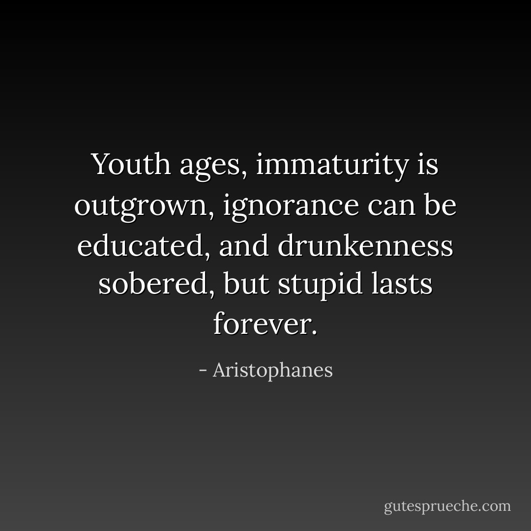Youth ages, immaturity is outgrown, ignorance can be educated, and drunkenness sobered, but stupid lasts forever. - Aristophanes