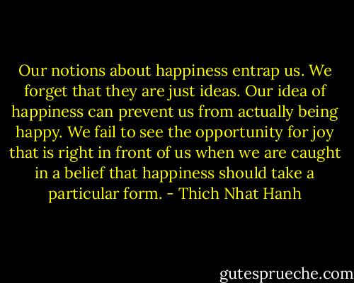 Our notions about happiness entrap us. We forget that they are just ideas. Our idea of happiness can prevent us from actually being happy. We fail to see the opportunity for joy that is right in front of us when we are caught in a belief that happiness should take a particular form. - Thich Nhat Hanh