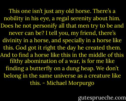 This one isn’t just any old horse. There’s a nobility in his eye, a regal serenity about him. Does he not personify all that men try to be and never can be? I tell you, my friend, there’s divinity in a horse, and specially in a horse like this. God got it right the day he created them. And to find a horse like this in the middle of this filthy abomination of a war, is for me like finding a butterfly on a dung heap. We don’t belong in the same universe as a creature like this. - Michael Morpurgo