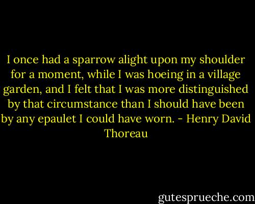 I once had a sparrow alight upon my shoulder for a moment, while I was hoeing in a village garden, and I felt that I was more distinguished by that circumstance than I should have been by any epaulet I could have worn. - Henry David Thoreau