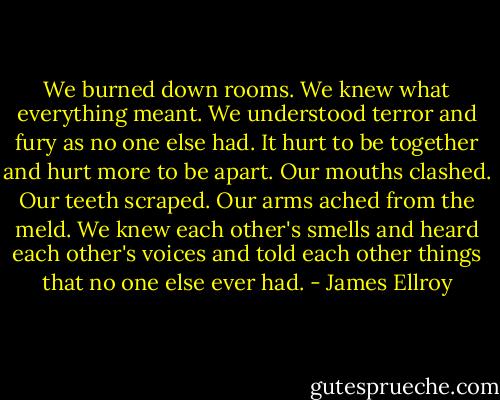 We burned down rooms. We knew what everything meant. We understood terror and fury as no one else had. It hurt to be together and hurt more to be apart. Our mouths clashed. Our teeth scraped. Our arms ached from the meld. We knew each other's smells and heard each other's voices and told each other things that no one else ever had. - James Ellroy