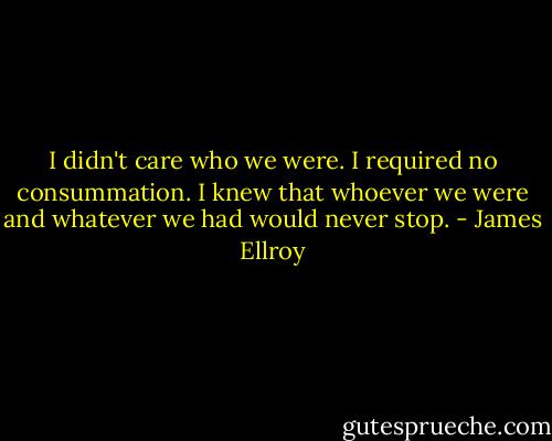 I didn't care who we were. I required no consummation. I knew that whoever we were and whatever we had would never stop. - James Ellroy