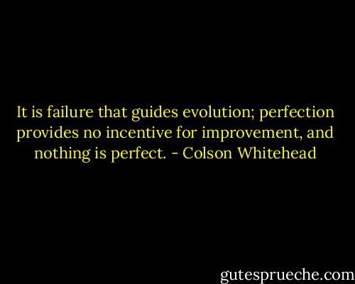 It is failure that guides evolution; perfection provides no incentive for improvement, and nothing is perfect. - Colson Whitehead