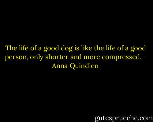 The life of a good dog is like the life of a good person, only shorter and more compressed. - Anna Quindlen