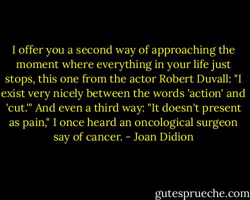 I offer you a second way of approaching the moment where everything in your life just stops, this one from the actor Robert Duvall: "I exist very nicely between the words 'action' and 'cut.'"<br />And even a third way: "It doesn't present as pain," I once heard an oncological surgeon say of cancer. - Joan Didion