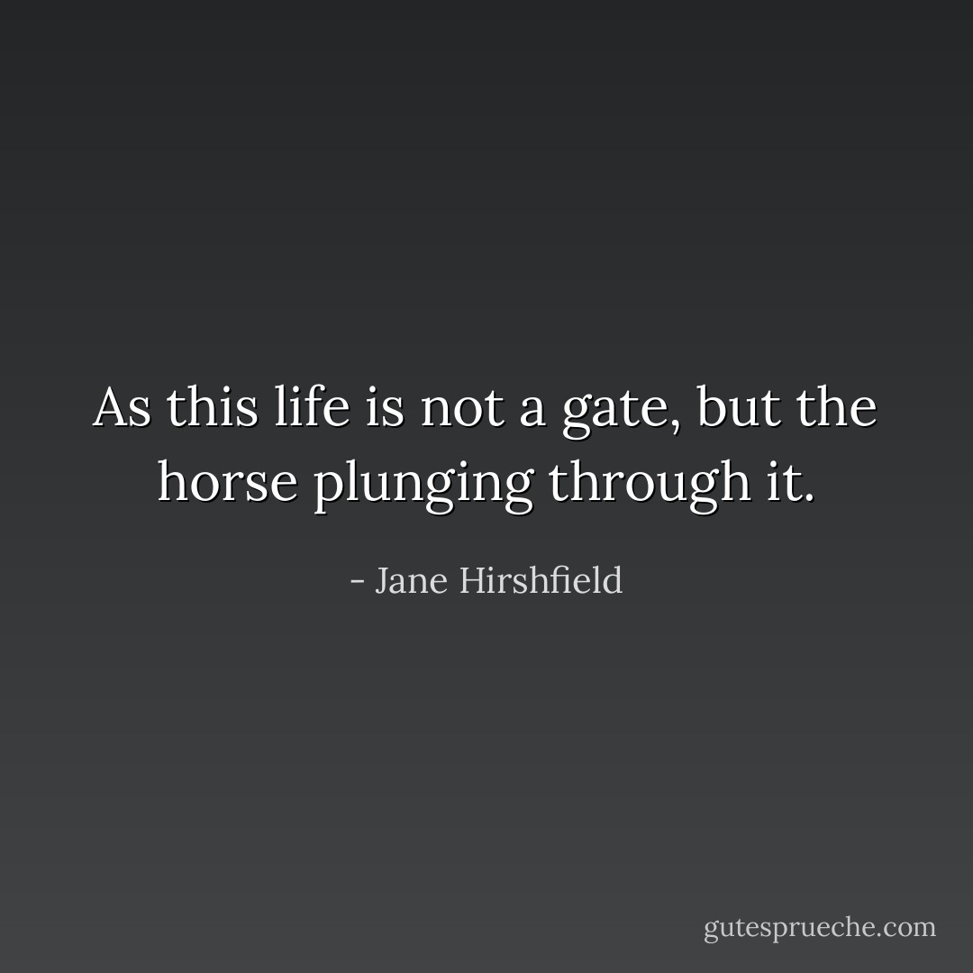 As this life is not a gate, but the horse plunging through it. - Jane Hirshfield