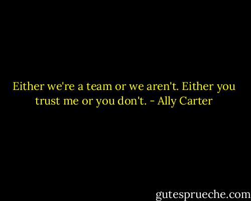 Either we're a team or we aren't. Either you trust me or you don't. - Ally Carter