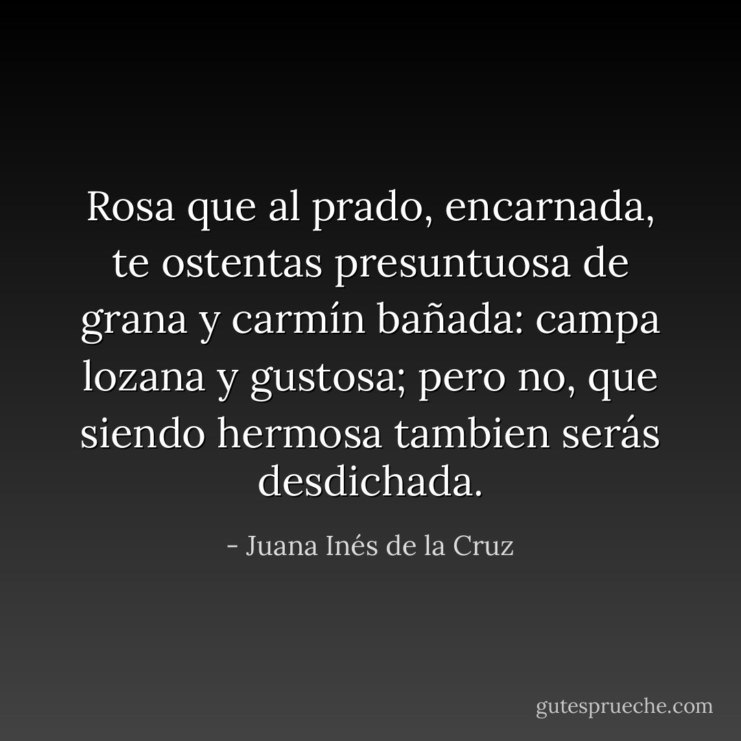 Rosa que al prado, encarnada,<br />te ostentas presuntuosa<br />de grana y carmín bañada:<br />campa lozana y gustosa;<br />pero no, que siendo hermosa<br />tambien serás desdichada. - Juana Inés de la Cruz