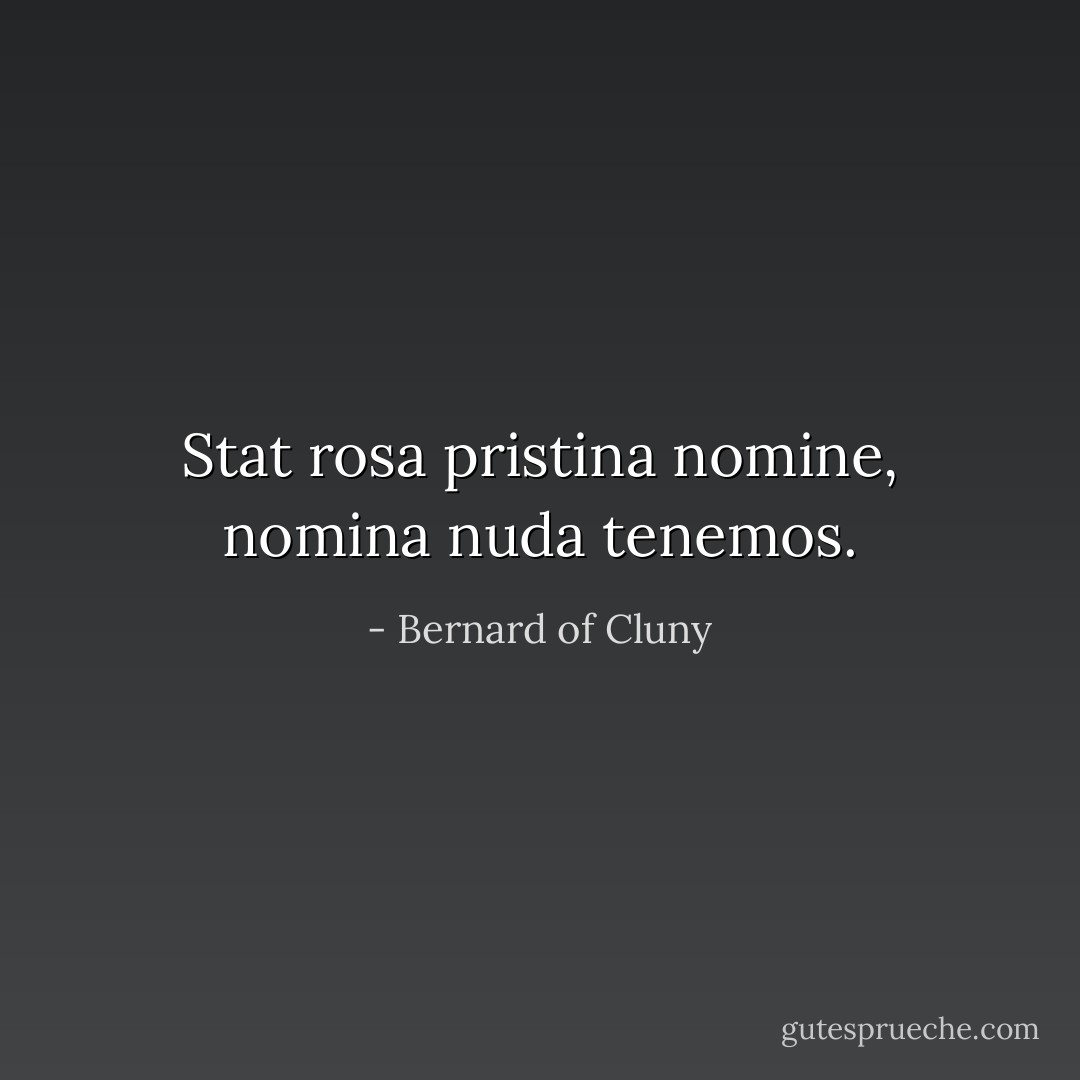 Stat rosa pristina nomine, nomina nuda tenemos. - Bernard of Cluny