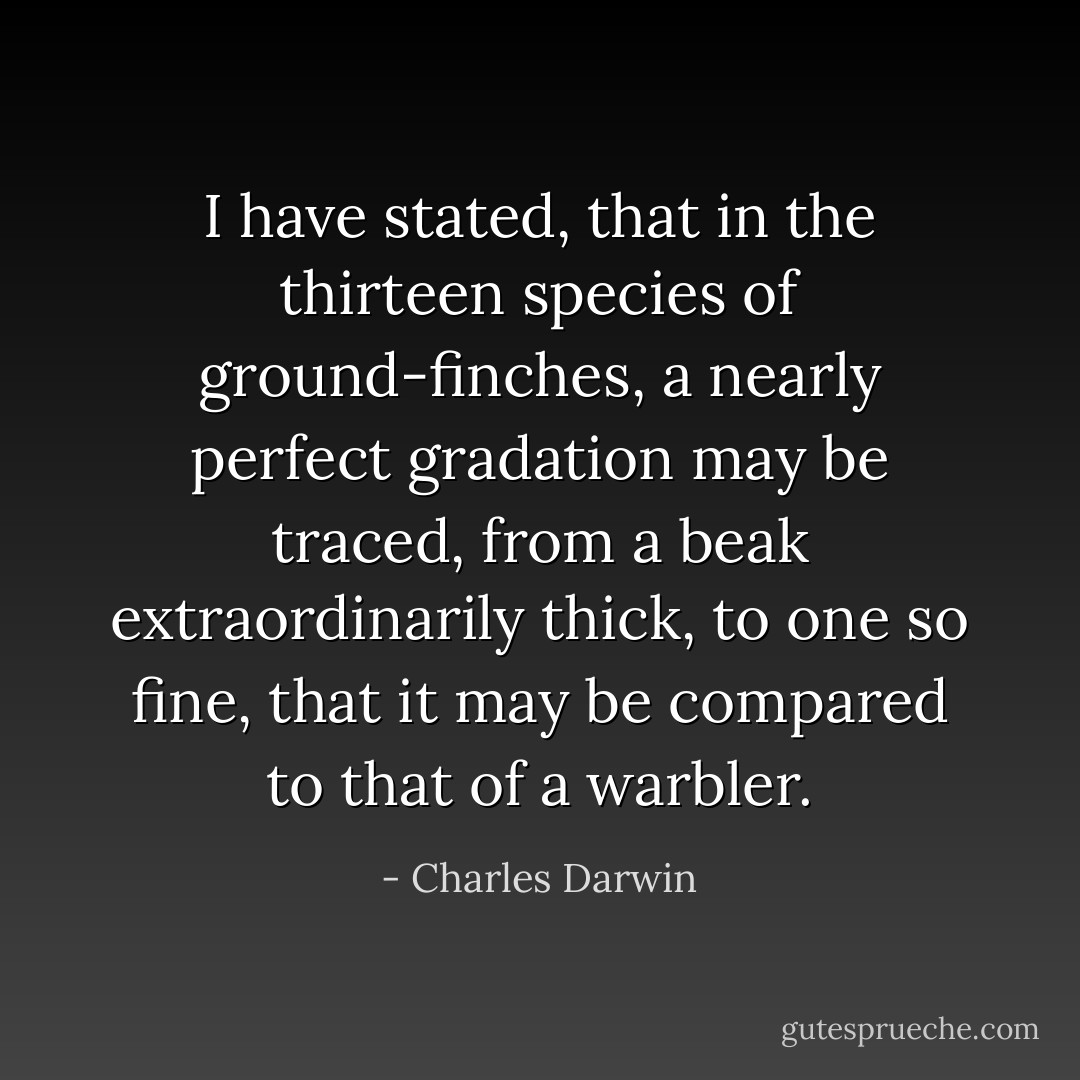 I have stated, that in the thirteen species of ground-finches, a nearly perfect gradation may be traced, from a beak extraordinarily thick, to one so fine, that it may be compared to that of a warbler. - Charles Darwin