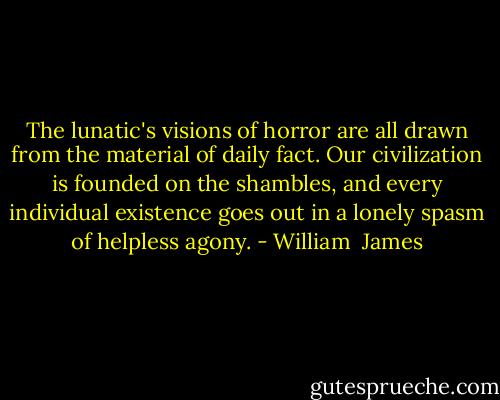 The lunatic's visions of horror are all drawn from the material of daily fact. Our civilization is founded on the shambles, and every individual existence goes out in a lonely spasm of helpless agony. - William  James