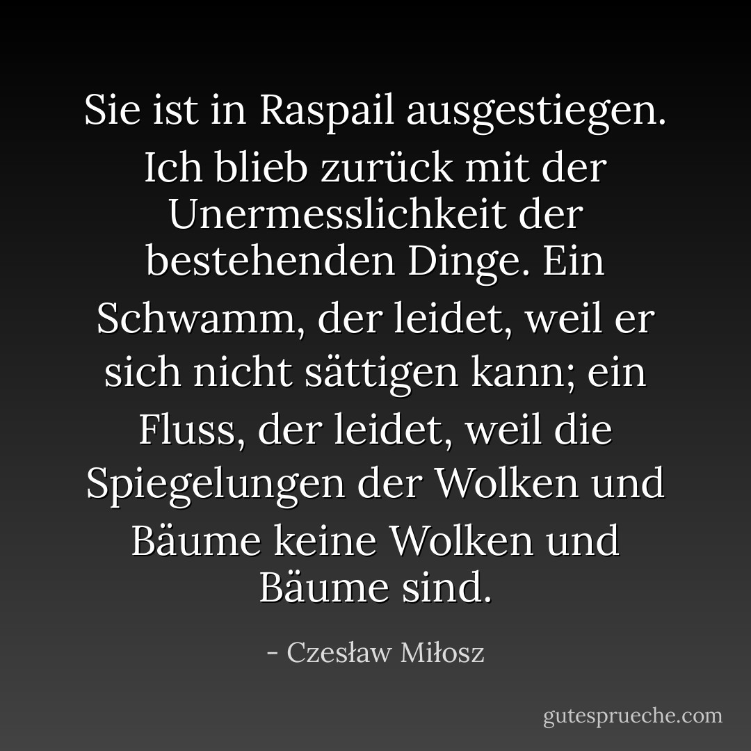 Sie ist in Raspail ausgestiegen. Ich blieb zurück mit der Unermesslichkeit der bestehenden Dinge. Ein Schwamm, der leidet, weil er sich nicht sättigen kann; ein Fluss, der leidet, weil die Spiegelungen der Wolken und Bäume keine Wolken und Bäume sind. - Czesław Miłosz<