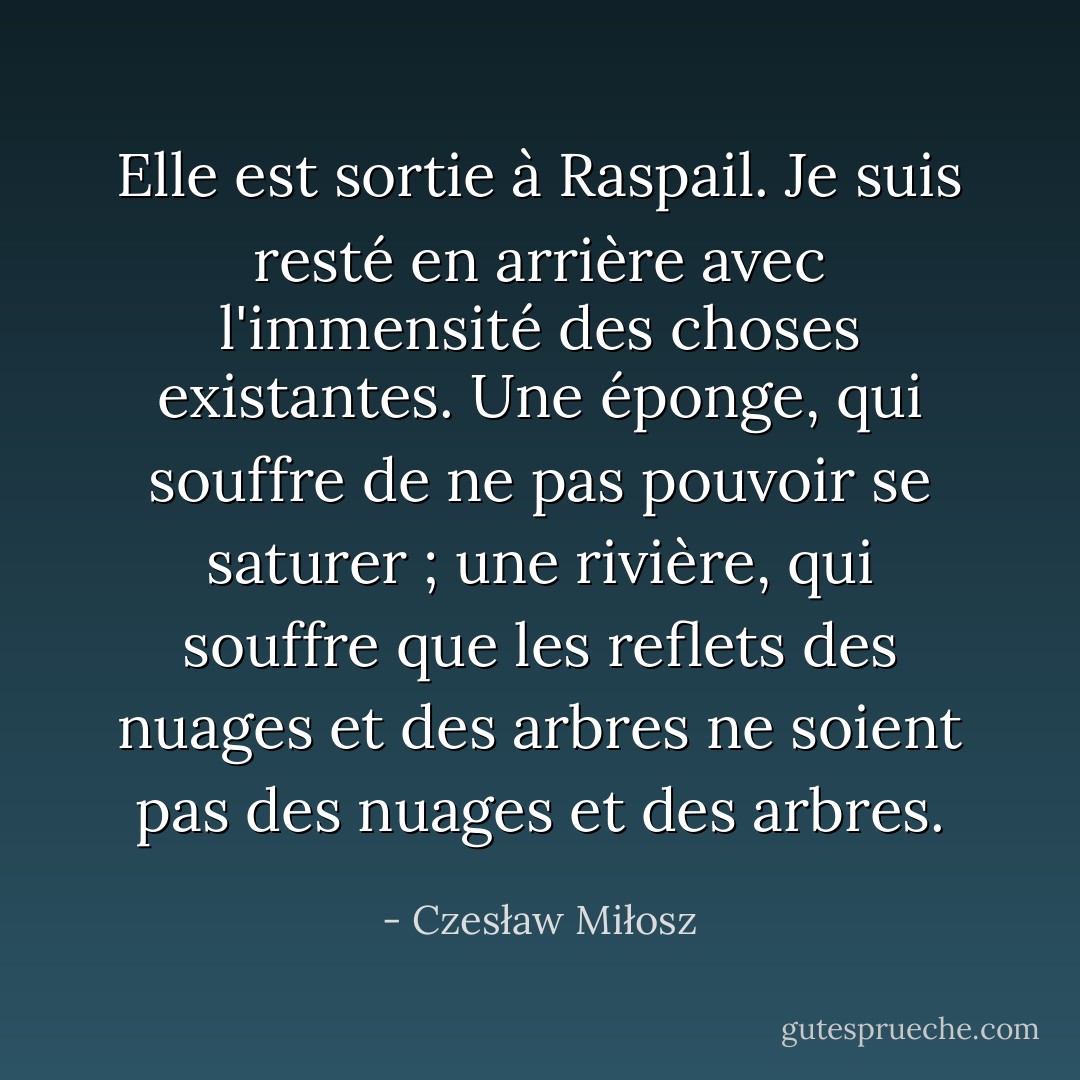 Elle est sortie à Raspail. Je suis resté en arrière avec l'immensité des choses existantes. Une éponge, qui souffre de ne pas pouvoir se saturer ; une rivière, qui souffre que les reflets des nuages et des arbres ne soient pas des nuages et des arbres. - Czesław Miłosz