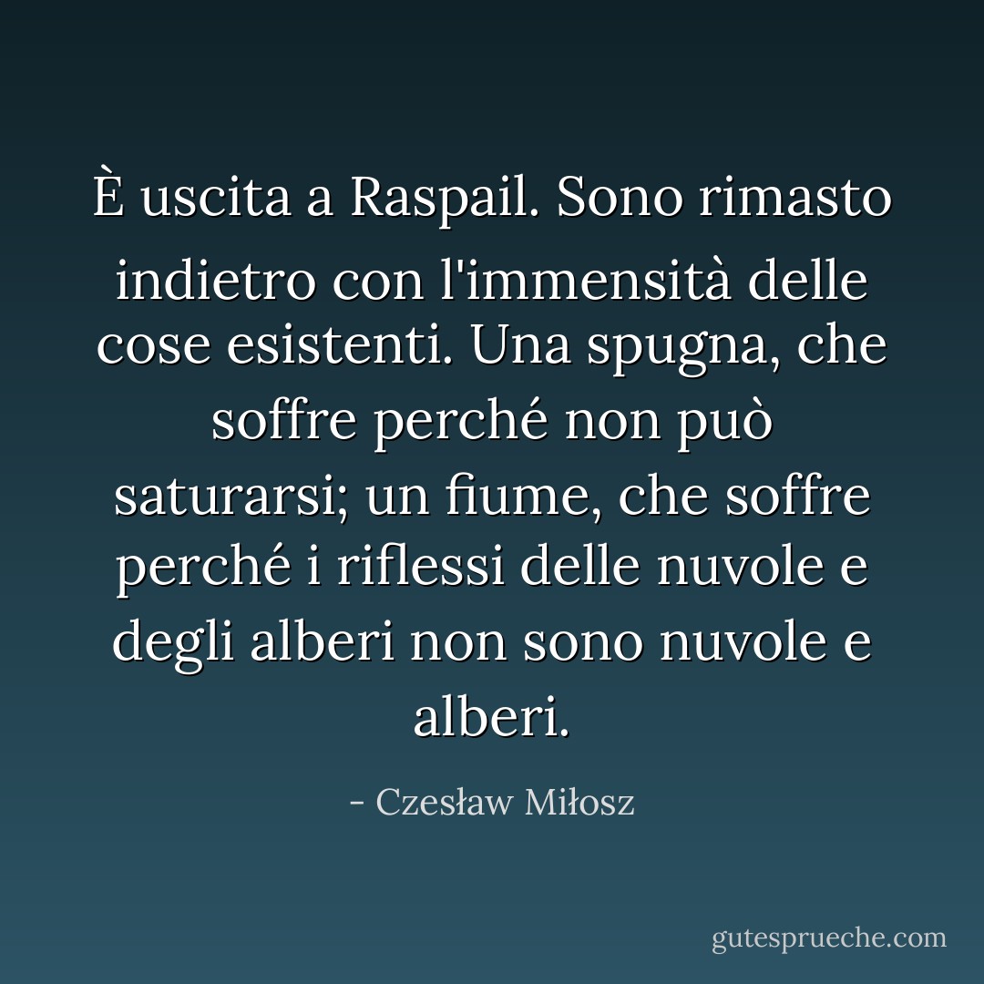 È uscita a Raspail. Sono rimasto indietro con l'immensità delle cose esistenti. Una spugna, che soffre perché non può saturarsi; un fiume, che soffre perché i riflessi delle nuvole e degli alberi non sono nuvole e alberi. - Czesław Miłosz
