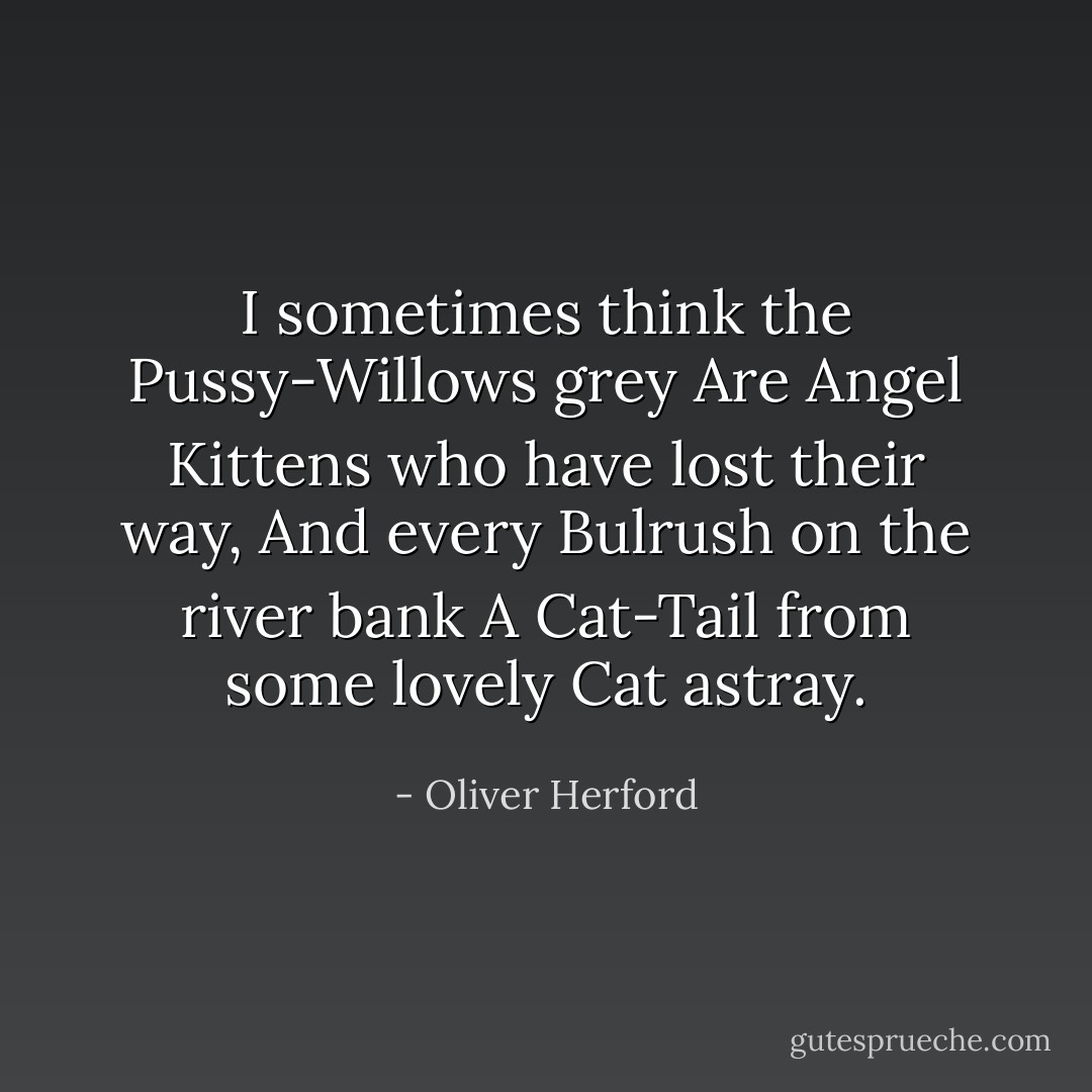 I sometimes think the Pussy-Willows grey<br />Are Angel Kittens who have lost their way,<br />And every Bulrush on the river bank<br />A Cat-Tail from some lovely Cat astray. - Oliver Herford