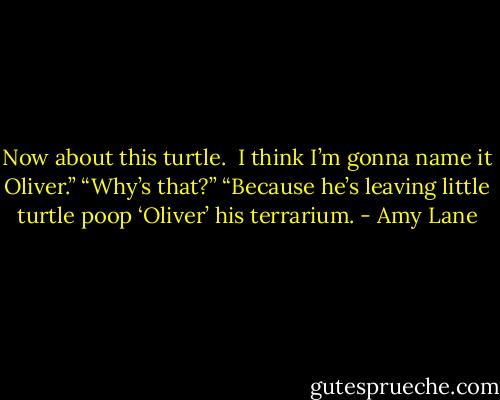 Now about this turtle.<br /> I think I’m gonna name it Oliver.”<br />“Why’s that?”<br />“Because he’s leaving little turtle poop ‘Oliver’ his terrarium. - Amy Lane