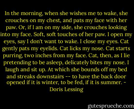 In the morning, when she wishes me to wake, she crouches on my chest, and pats my face with her paw. Or, if I am on my side, she crouches looking into my face. Soft, soft touches of her paw. I open my eyes, say I don't want to wake. I close my eyes. Cat gently pats my eyelids. Cat licks my nose. Cat starts purring, two inches from my face. Cat, then, as I lie pretending to be asleep, delicately bites my nose. I laugh and sit up. At which she bounds off my bed and streaks downstairs -- to have the back door opened if it is winter, to be fed, if it is summer. - Doris Lessing
