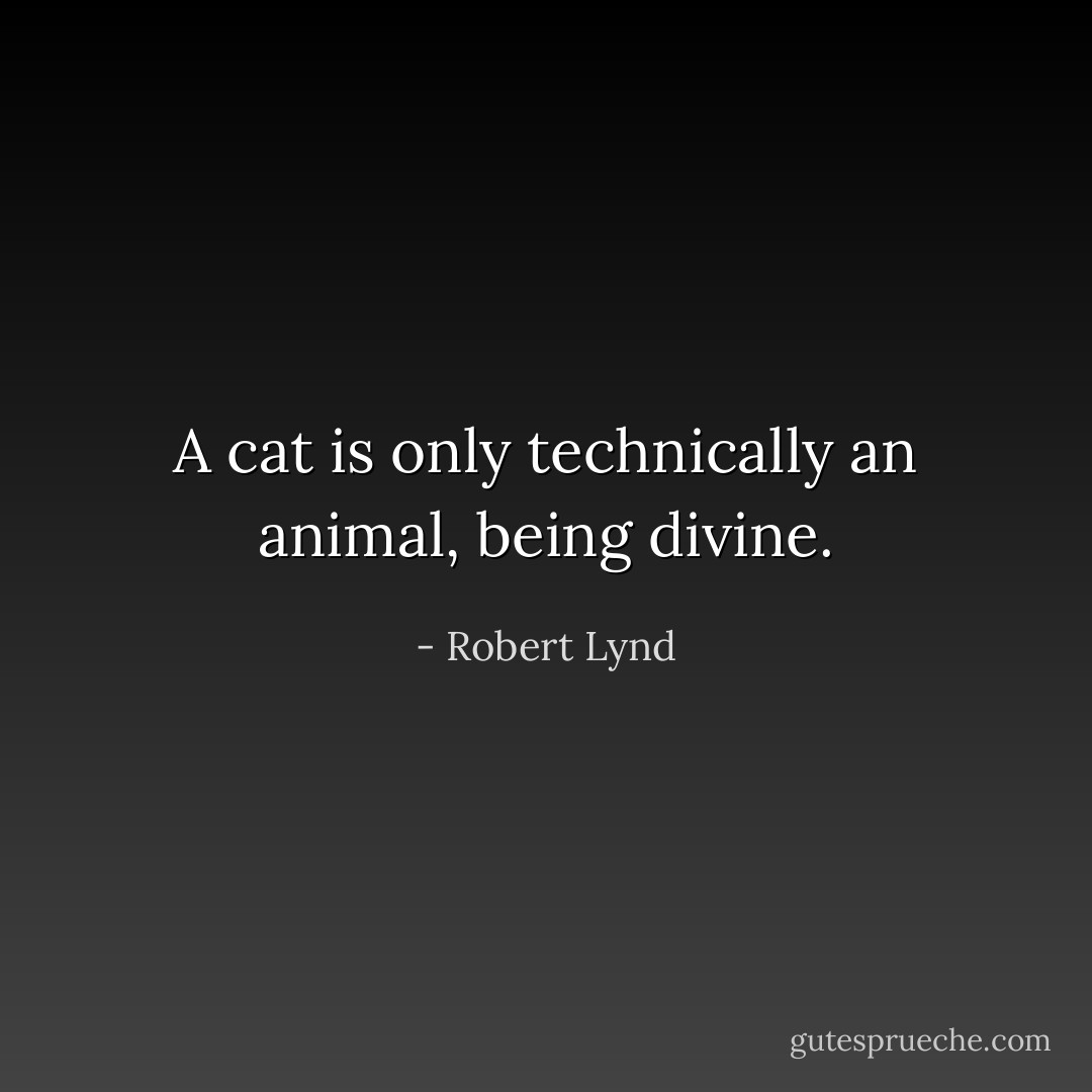 A cat is only technically an animal, being divine. - Robert Lynd