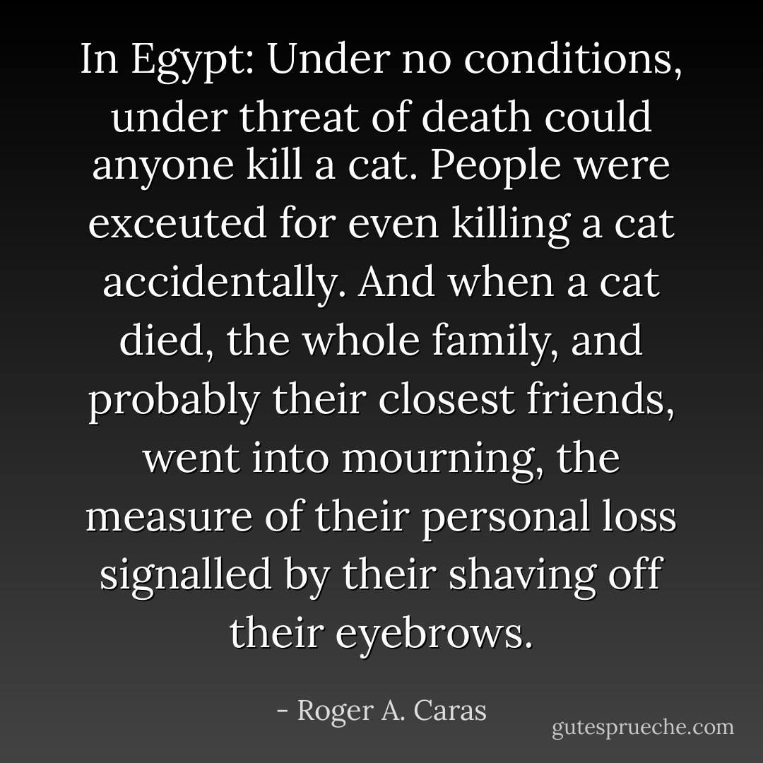 In Egypt: Under no conditions, under threat of death could anyone kill a cat. People were exceuted for even killing a cat accidentally. And when a cat died, the whole family, and probably their closest friends, went into mourning, the measure of their personal loss signalled by their shaving off their eyebrows. - Roger A. Caras