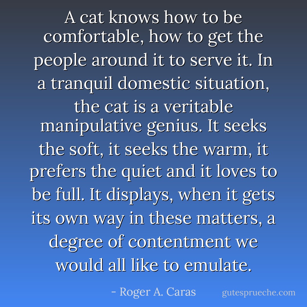 A cat knows how to be comfortable, how to get the people around it to serve it. In a tranquil domestic situation, the cat is a veritable manipulative genius. It seeks the soft, it seeks the warm, it prefers the quiet and it loves to be full. It displays, when it gets its own way in these matters, a degree of contentment we would all like to emulate. - Roger A. Caras