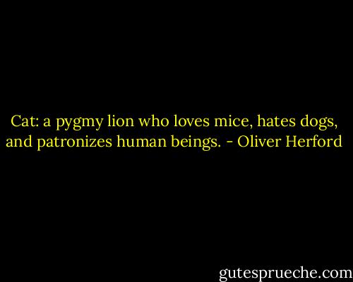 Cat: a pygmy lion who loves mice, hates dogs, and patronizes human beings. - Oliver Herford