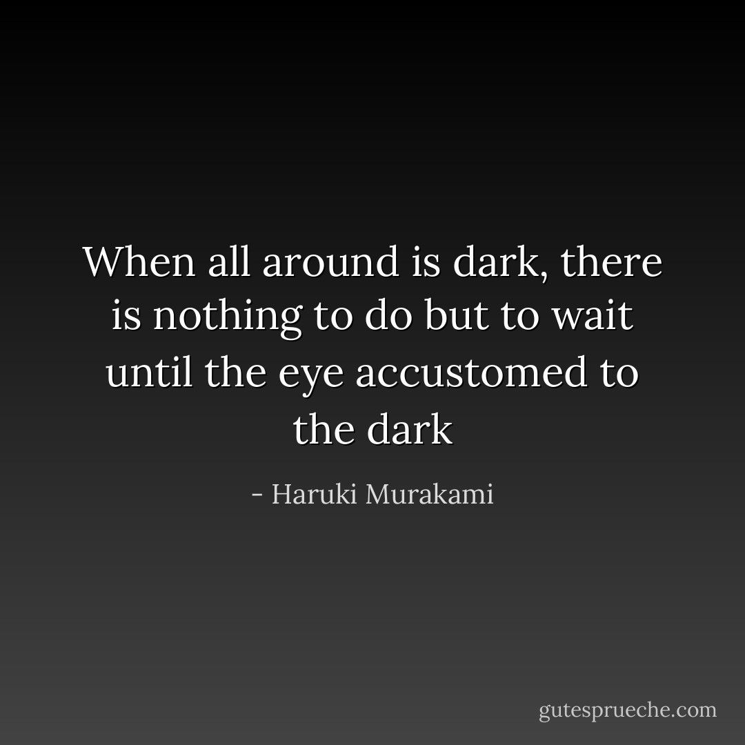 When all around is dark, there is nothing to do but to wait until the eye accustomed to the dark - Haruki Murakami