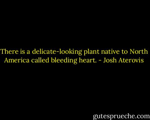 There is a delicate-looking plant native to North America called bleeding heart. - Josh Aterovis