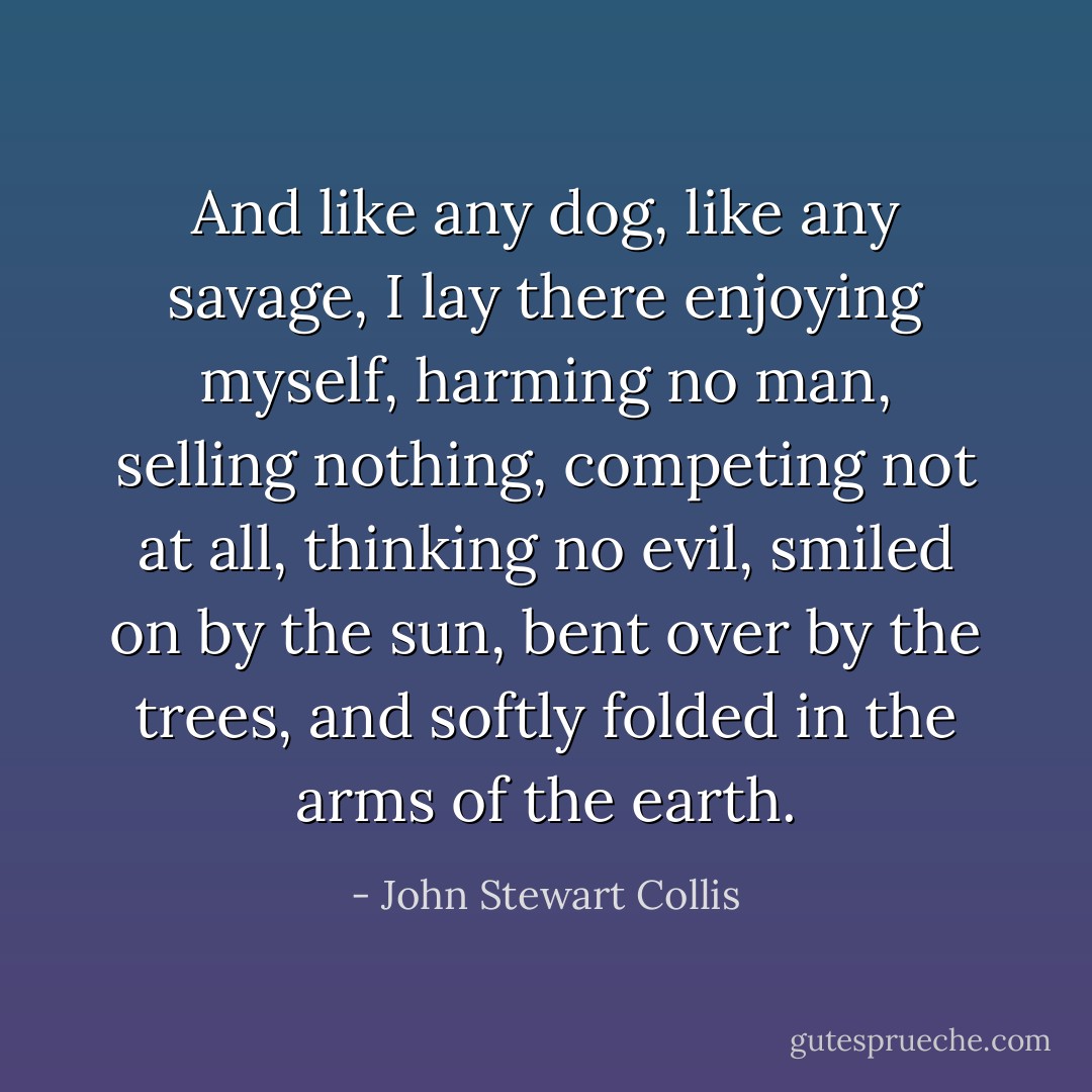 And like any dog, like any savage, I lay there enjoying myself, harming no man, selling nothing, competing not at all, thinking no evil, smiled on by the sun, bent over by the trees, and softly folded in the arms of the earth. - John Stewart Collis
