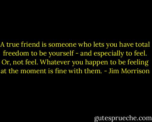 A true friend is someone who lets you have total freedom to be yourself - and especially to feel. Or, not feel. Whatever you happen to be feeling at the moment is fine with them. - Jim Morrison