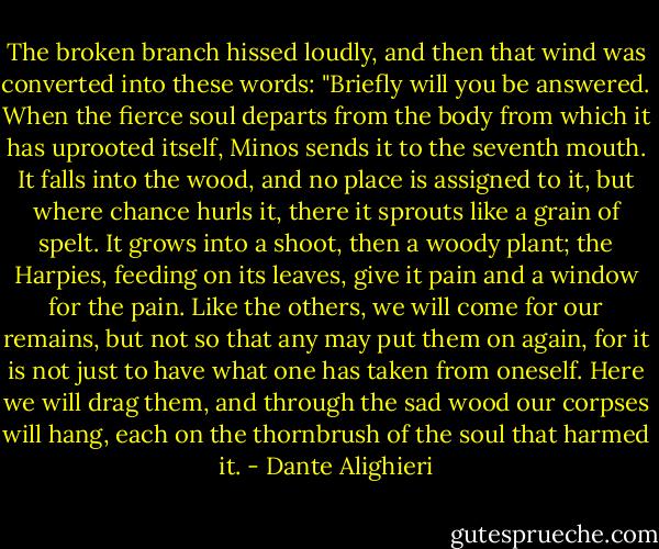 The broken branch hissed loudly, and then that<br />wind was converted into these words: "Briefly will<br />you be answered.<br />When the fierce soul departs from the body from<br />which it has uprooted itself, Minos sends it to the<br />seventh mouth.<br />It falls into the wood, and no place is assigned to<br />it, but where chance hurls it, there it sprouts like a<br />grain of spelt.<br />It grows into a shoot, then a woody plant; the<br />Harpies, feeding on its leaves, give it pain and a<br />window for the pain.<br />Like the others, we will come for our remains, but<br />not so that any may put them on again, for it is not<br />just to have what one has taken from oneself.<br />Here we will drag them, and through the sad<br />wood our corpses will hang, each on the thornbrush<br />of the soul that harmed it. - Dante Alighieri