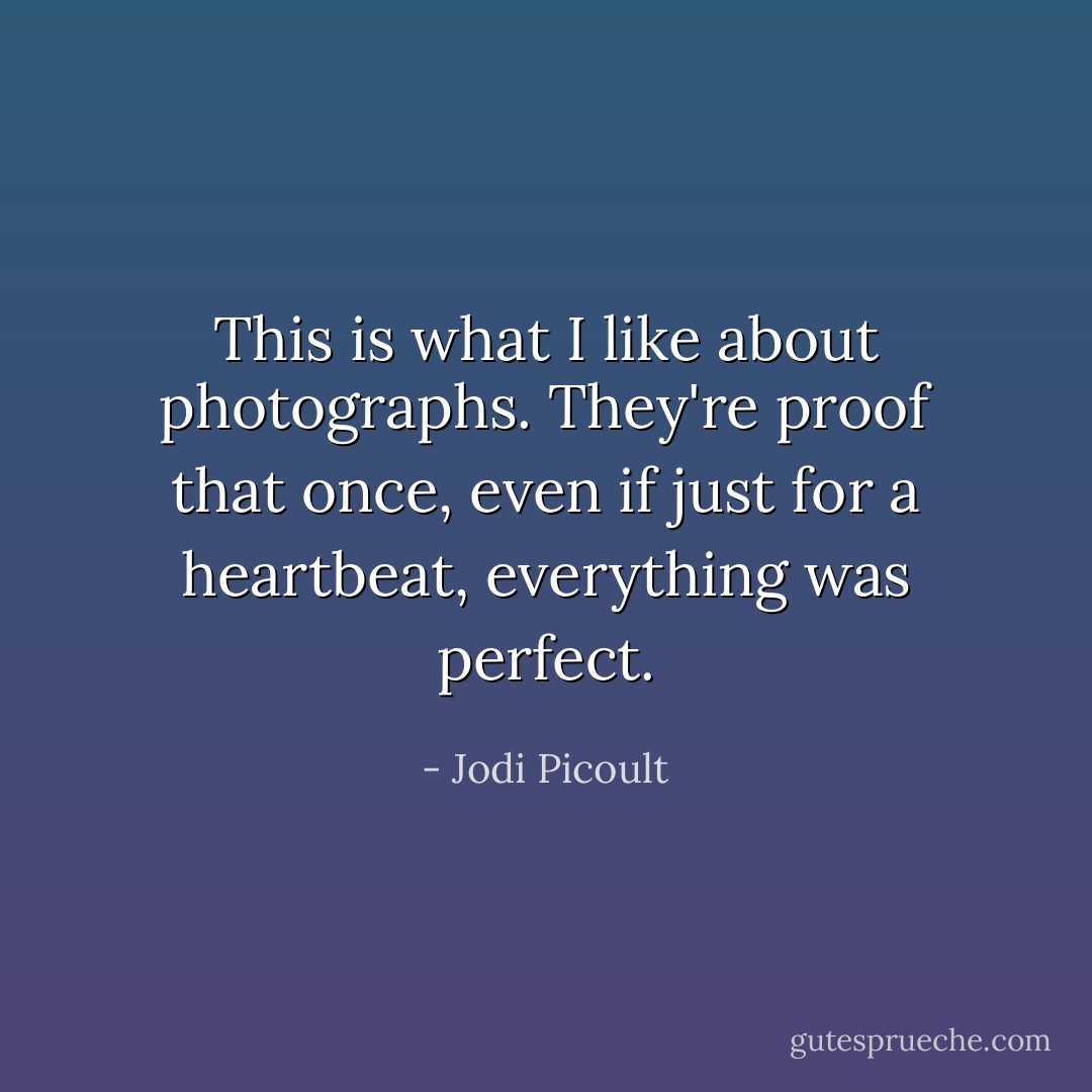 This is what I like about photographs. They're proof that once, even if just for a heartbeat, everything was perfect. - Jodi Picoult